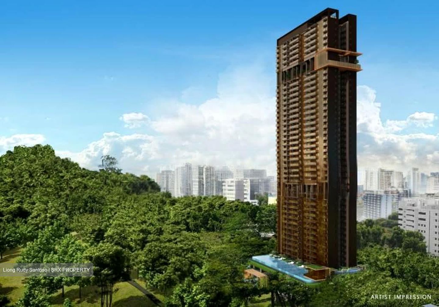 The Landmark (D3), Condominium #552209851